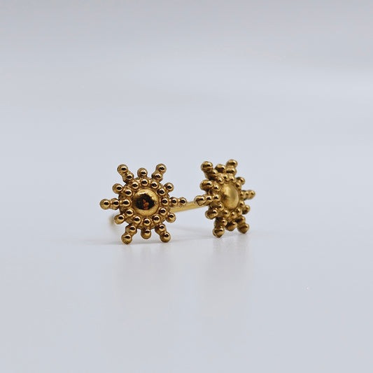 Earrings Flashes