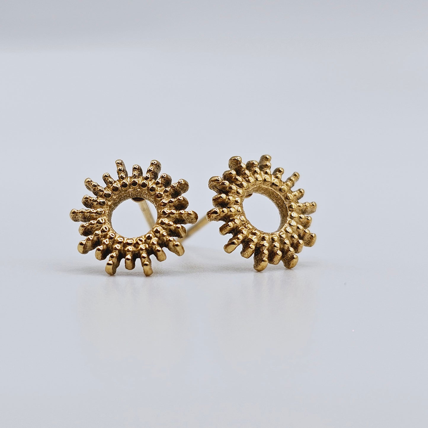 Pendientes Halo