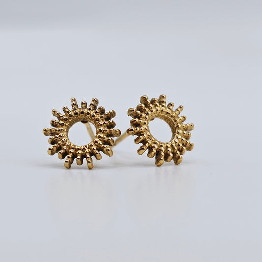 Earrings Halo