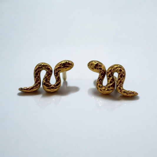Earrings Snake