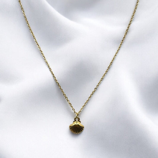 Collar de conchas marinas